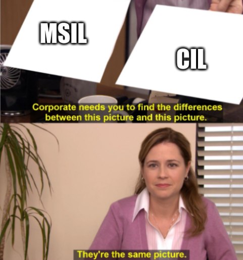 Difference between CIL, MSIL, and IL.